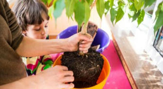 Urban Gardening: Growing Food in Small Apartments and Balconies